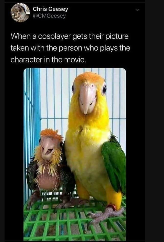 classic memes, vintage memes, viral tweets, evergreen memes, throwback memes, old memes, best memes, retro memes, internet classics, reaction memes, nostalgia memes, meme archive, timeless humor, meme history, digital nostalgia, original memes, viral humor, relatable memes, group chat memes, meme culture, shareable memes, comedy classics, nostalgic humor