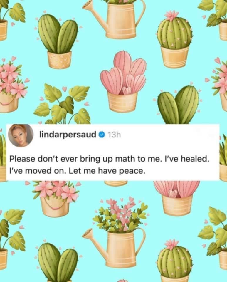 lindarpersaud • 13h Please don't ever bring up math to me. I've healed. I've moved on. Let me have peace.