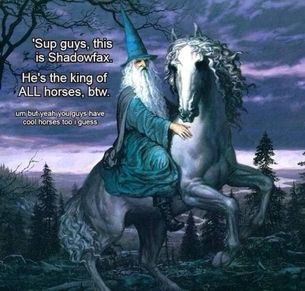 'Sup guys, this is Shadowfax. He's the king of ALL horses, btw. um but yeah you guys have cool horses too i guess
