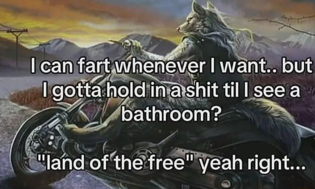 I can fart whenever I want.. but I gotta hold in a shit til l see a bathroom? "land of the free" yeah right...