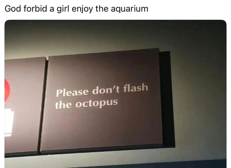 God forbid a girl enjoy the aquarium Please don't flash the octopus