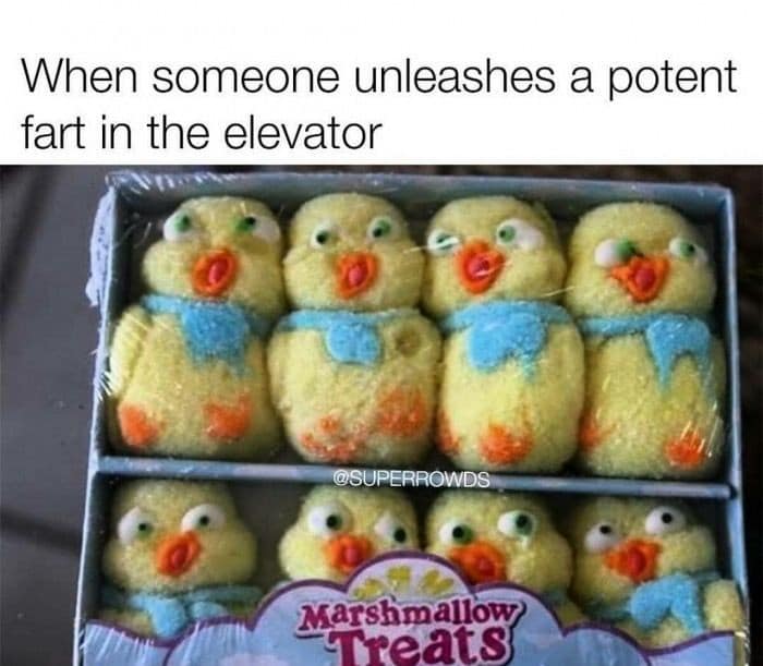 When someone unleashes a potent fart in the elevator