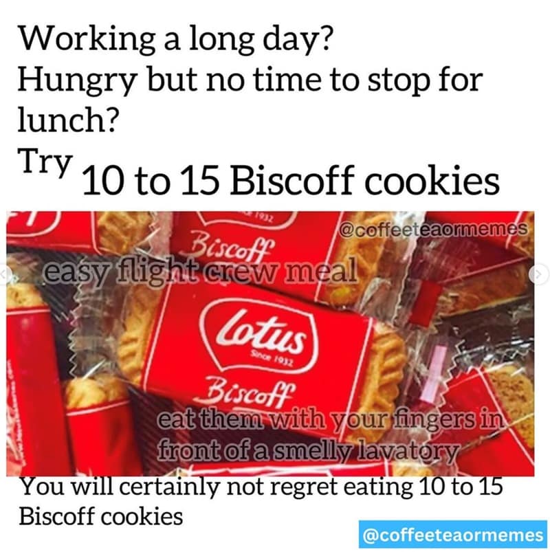 Working a long day? Hungry but no time to stop for lunch? Try 10 to 15 Biscoff cookies