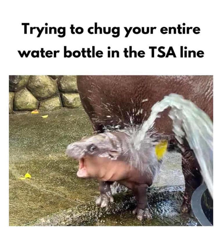 funny TSA memes, TSA memes, security memes, TSA shoe memes, airport security humor, travel humor, screening memes, luggage memes, TSA jokes, TSA humor, no-shoe security, TSA shoe memes, travel anxiety memes, carry-on memes, waiting in line memes, TSA shoe rule