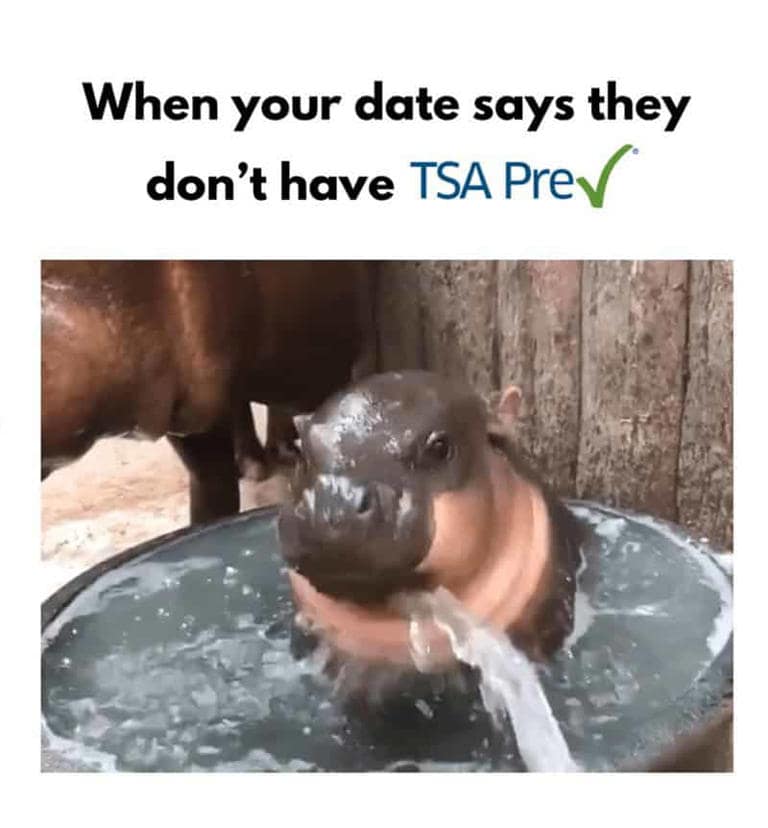 funny TSA memes, TSA memes, security memes, TSA shoe memes, airport security humor, travel humor, screening memes, luggage memes, TSA jokes, TSA humor, no-shoe security, TSA shoe memes, travel anxiety memes, carry-on memes, waiting in line memes, TSA shoe rule