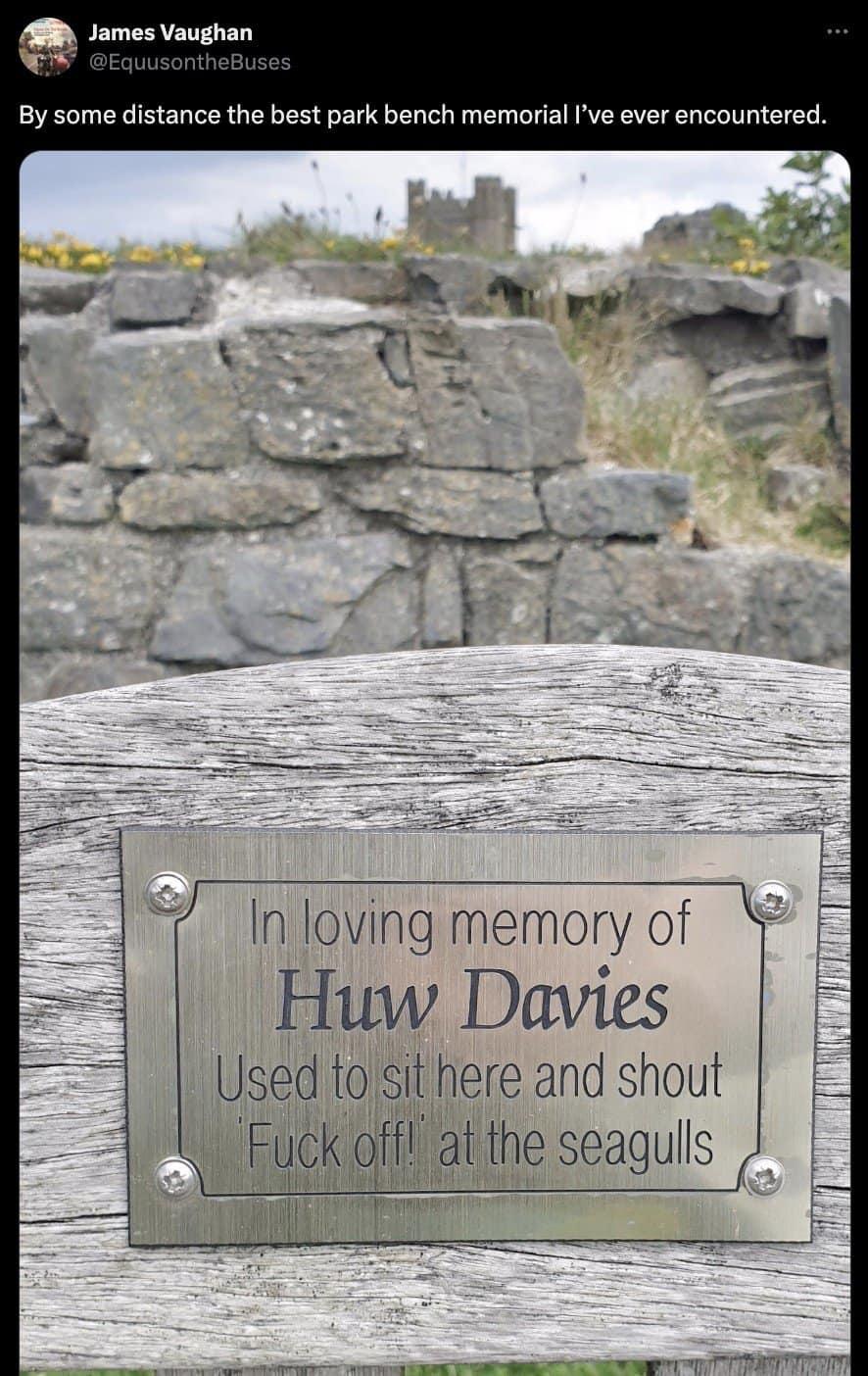 Park bench memorial plaque joking about shouting at seagulls.