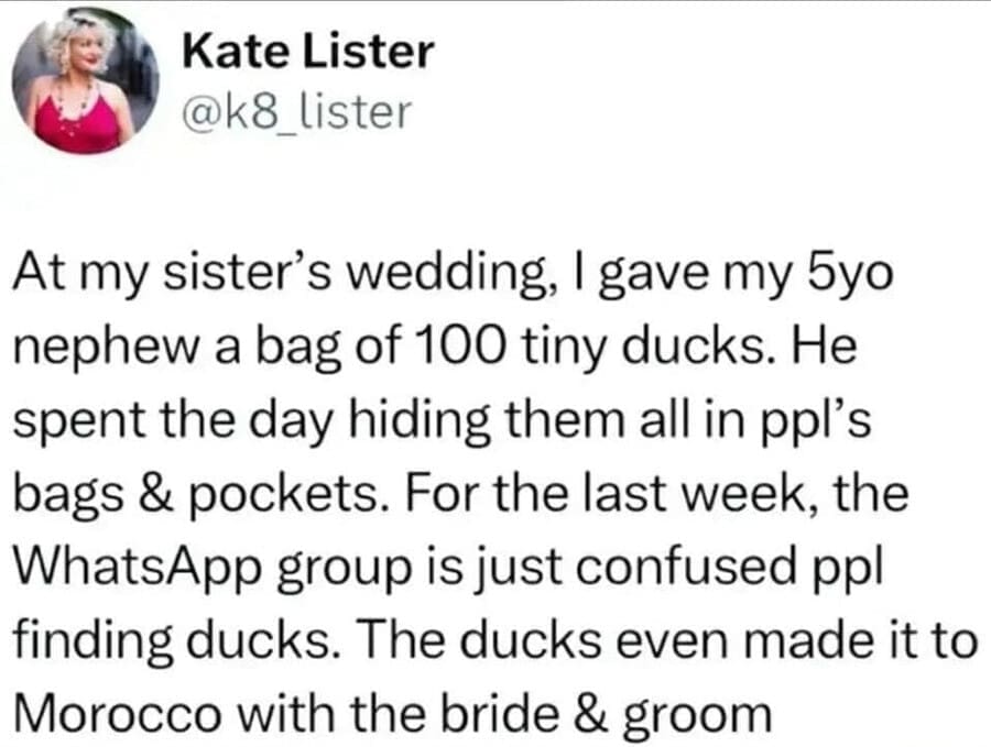 At my sister's wedding, I gave my 5yo nephew a bag of 100 tiny ducks. He spent the day hiding them all in ppl's bags & pockets. For the last week, the WhatsApp group is just confused ppl finding ducks. The ducks even made it to Morocco with the bride & groom