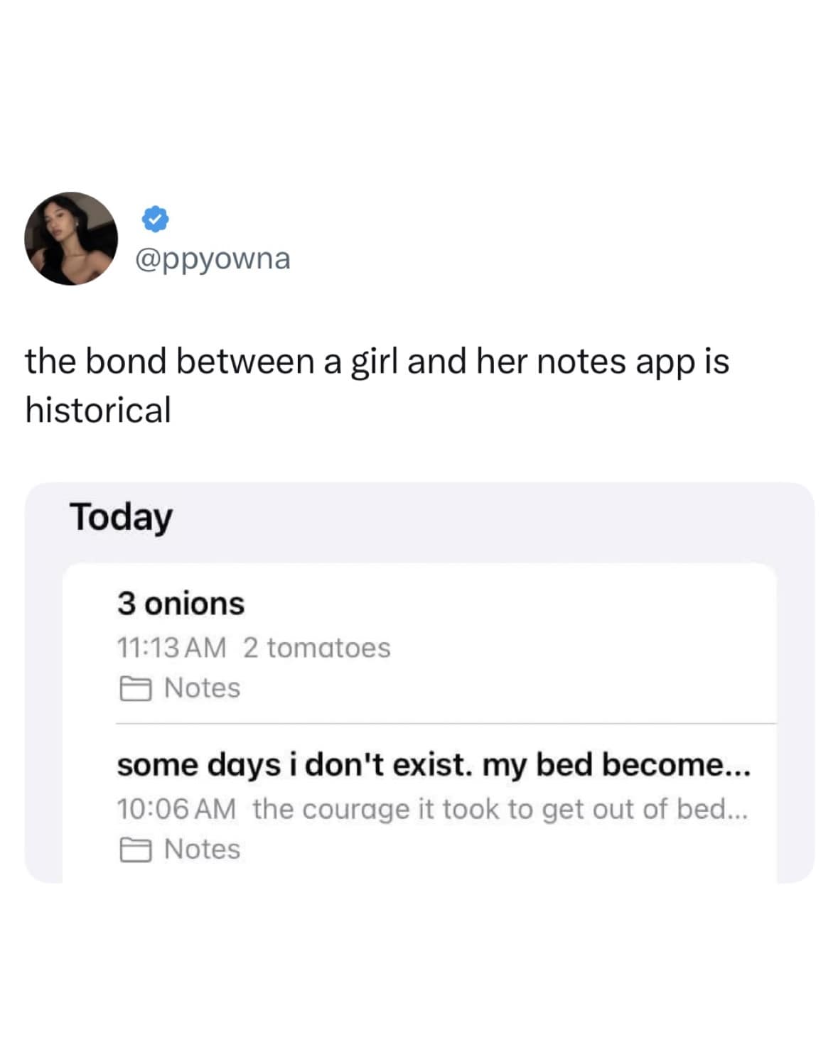 Screenshot of girl’s notes app with grocery list and emotional journal entry