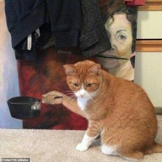 funny optical illusions image of a cat in front of a painting, making it appear like the cat is holding a saucepan with a human arm