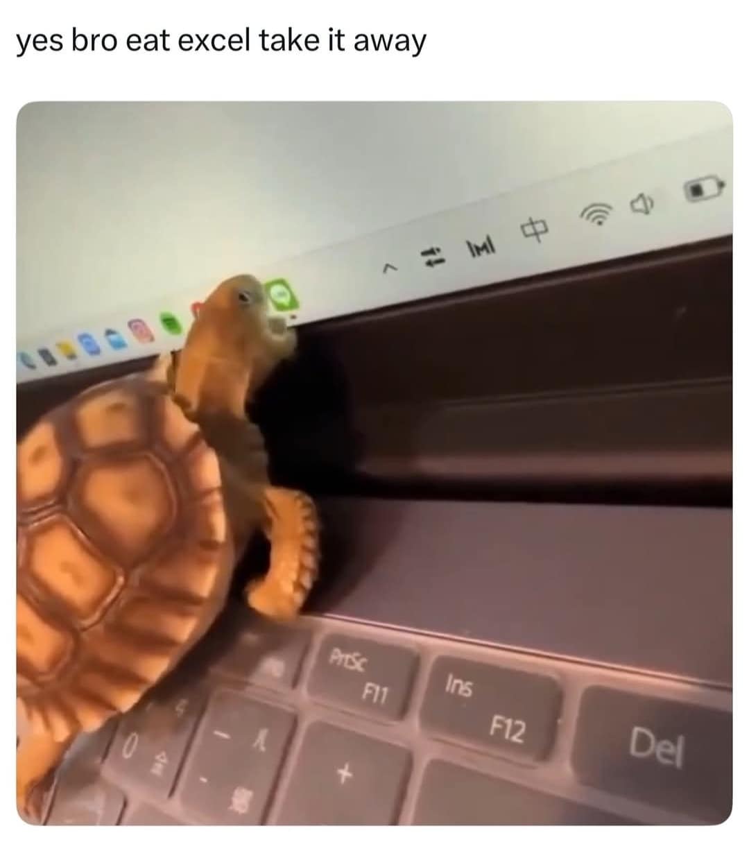 yes bro eat excel take it away