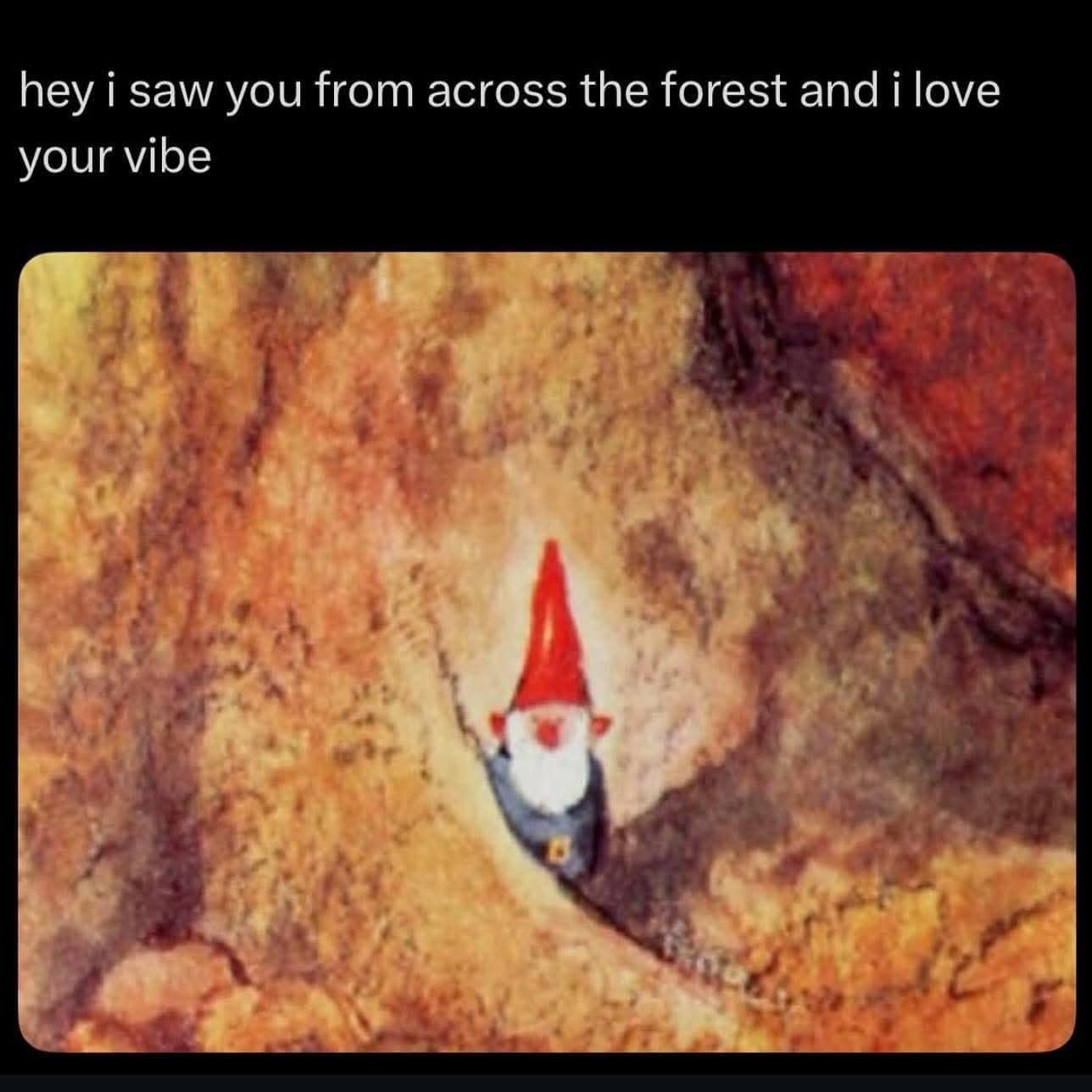 hey i saw you from across the forest and i love your vibe