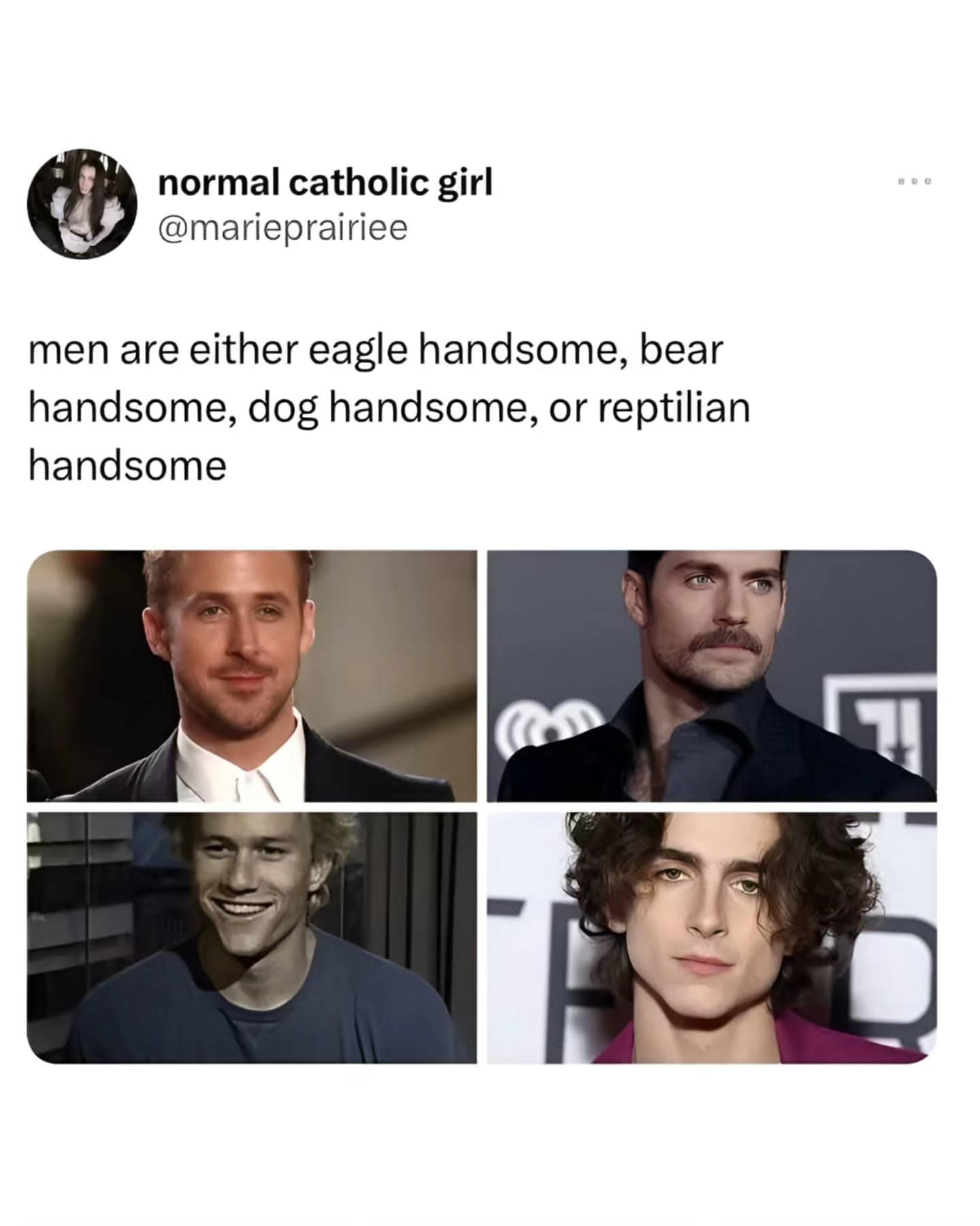 men are either eagle handsome, bear handsome, dog handsome, or reptilian handsome