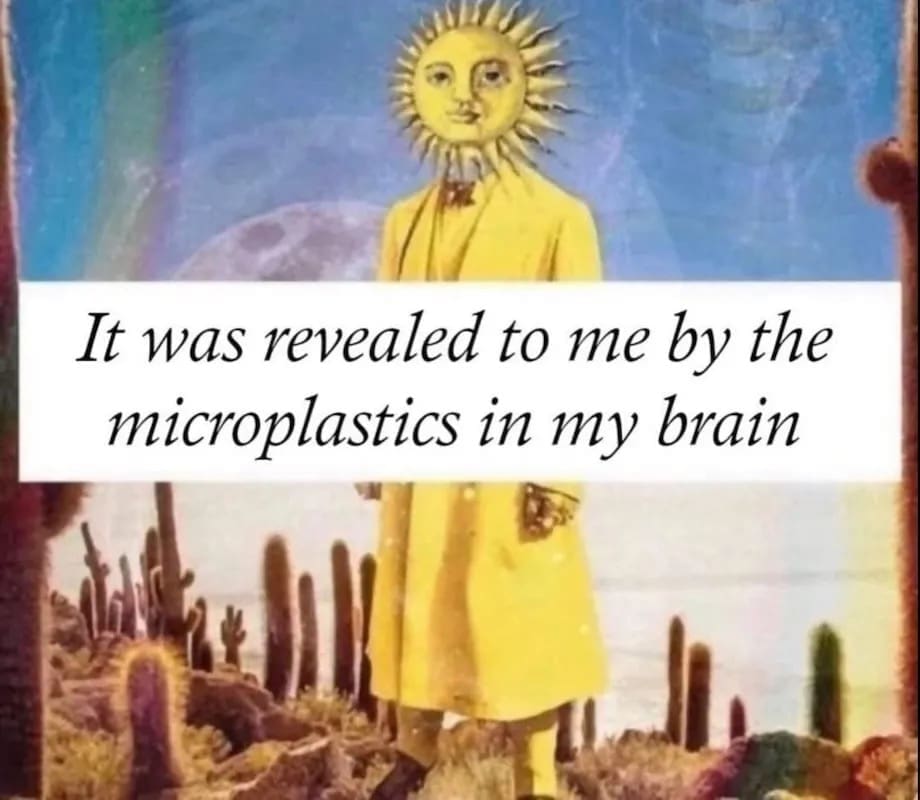 It was revealed to me by the microplastics in my brain