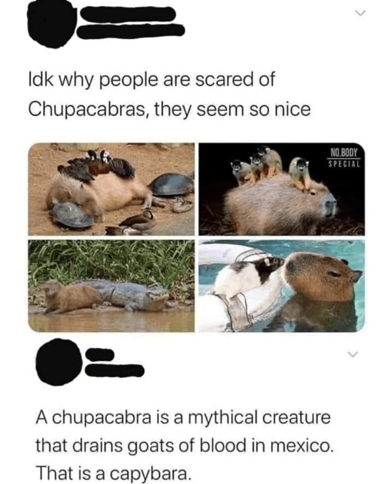 funny spelling mistakes, spelling fails, comedic typos, written errors, textual fails, lexical blunders, letter mixups, orthographic mishaps, sign bloopers, product misprints, labeling goofs, marketing typos, mistyped words, language stumbles, text-based goofs, textual slip-ups