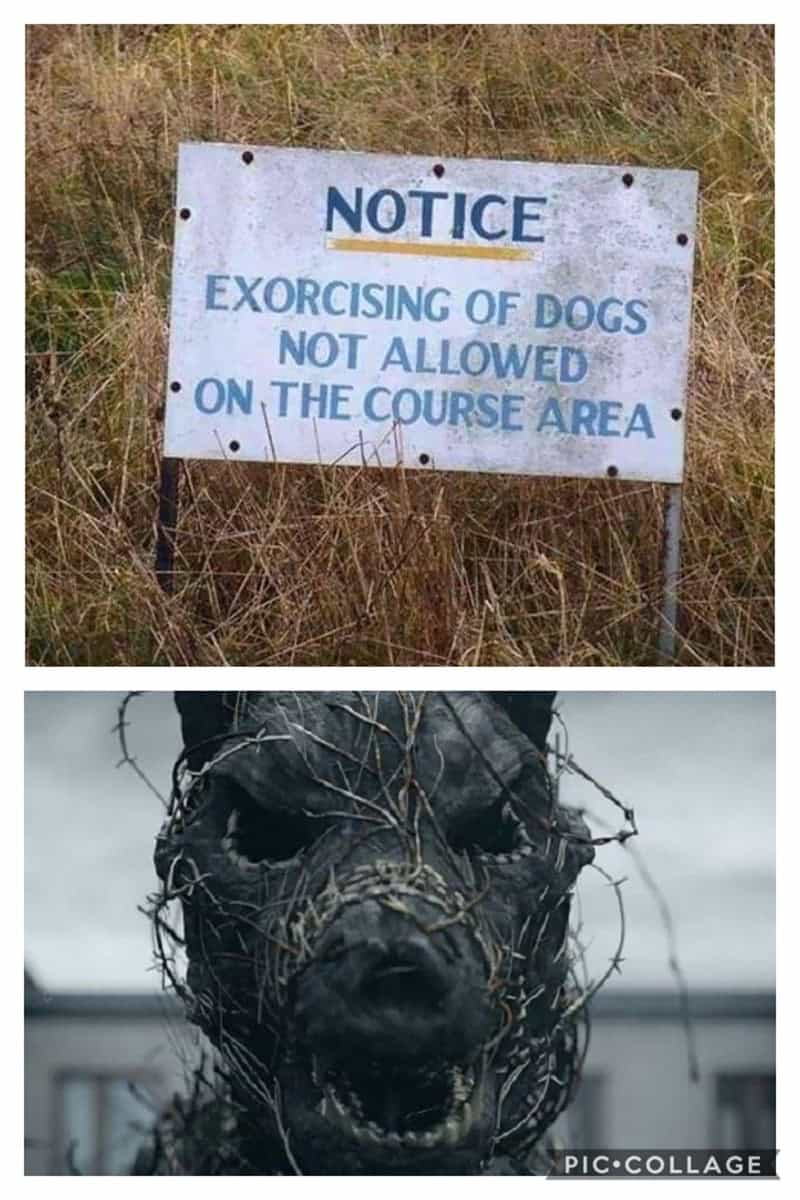 funny spelling mistakes, spelling fails, comedic typos, written errors, textual fails, lexical blunders, letter mixups, orthographic mishaps, sign bloopers, product misprints, labeling goofs, marketing typos, mistyped words, language stumbles, text-based goofs, textual slip-ups