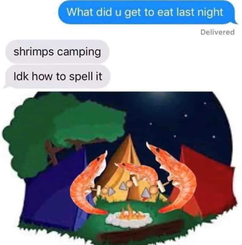 funny spelling mistakes meme with text shrimps camping and cartoon shrimp roasting marshmallows for spelling fails