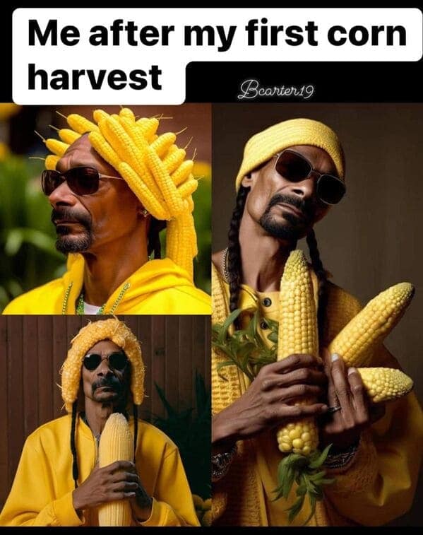 34 Gardening Memes For Gardeners Whose Thumbs Are More