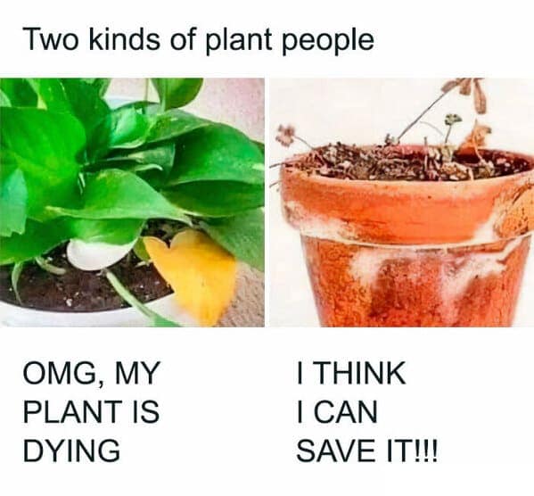 34 Gardening Memes For Gardeners Whose Thumbs Are More