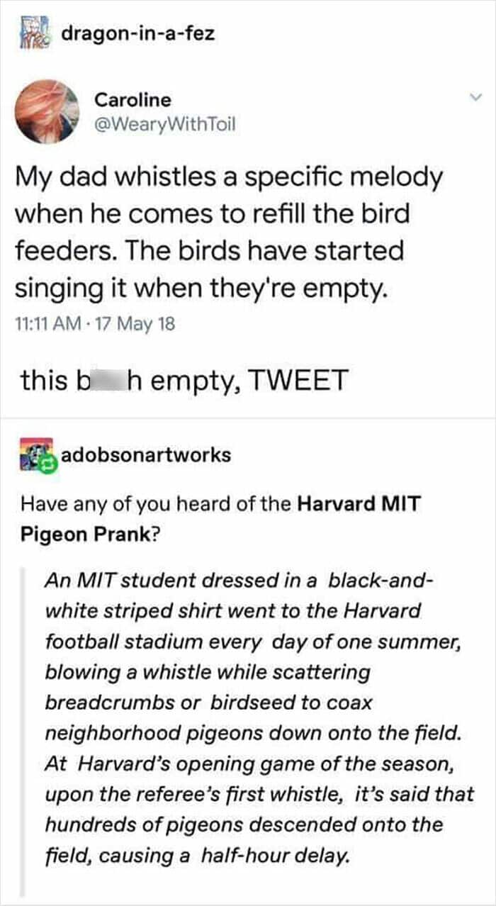 My dad whistles a specific melody when he comes to refill the bird feeders. The birds have started singing it when they're empty.