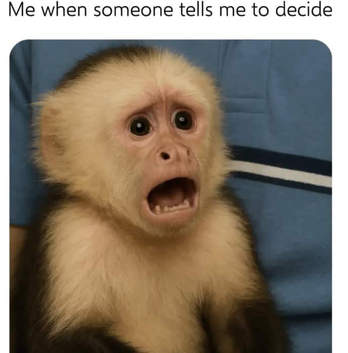 introvert memes, social anxiety memes, relatable memes, quiet humor, group chat memes, shy memes, awkward memes, social battery memes, homebody jokes, meme therapy, anxiety jokes, funny memes, mental health memes, alone time memes, pajama memes, introvert jokes, cancelled plans memes, WiFi memes, weekend memes