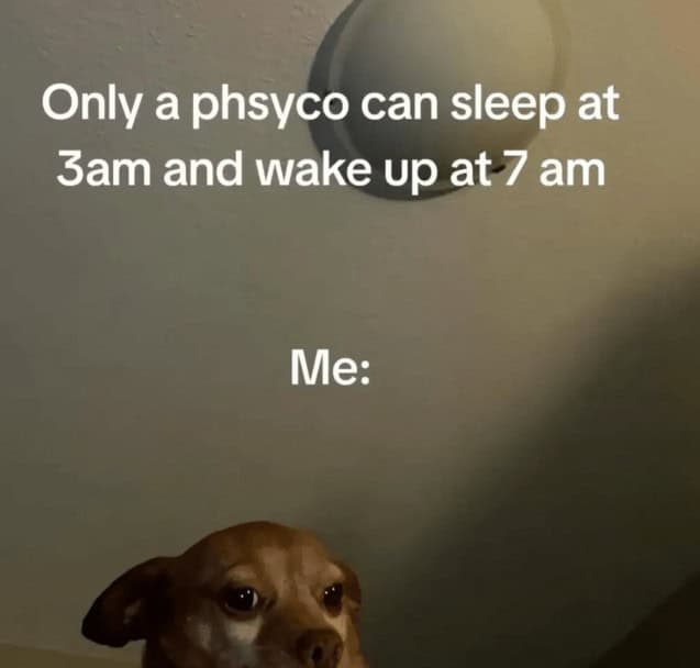 introvert memes, social anxiety memes, relatable memes, quiet humor, group chat memes, shy memes, awkward memes, social battery memes, homebody jokes, meme therapy, anxiety jokes, funny memes, mental health memes, alone time memes, pajama memes, introvert jokes, cancelled plans memes, WiFi memes, weekend memes