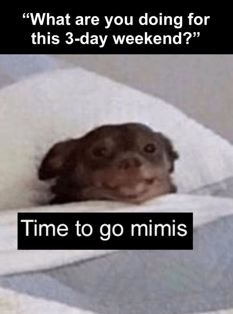 long weekend meme, long weekend memes, holiday memes, funny memes, work memes, weekend humor, holiday weekend jokes, long weekend jokes, vacation memes, time off memes, day off memes, work dread memes, office memes, payday memes, lazy day memes, patriotic memes, summer memes, relax memes, holiday humor, 4th of july memes