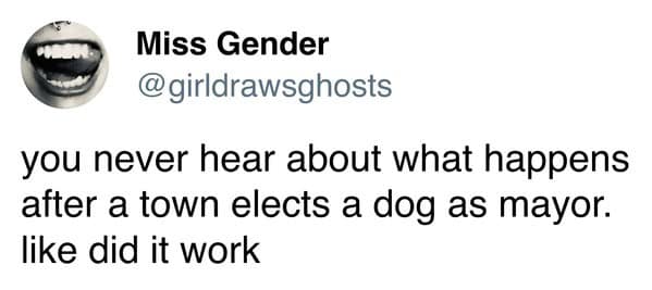 viral memes, dank memes, trending memes, meme collection, meme gallery, group chat, internet humor, lunch break, viral fails, meme batch, random memes, zoom memes, group chat chaos, meme laughs, new memes, daily memes, meme picks, best memes, internet memes