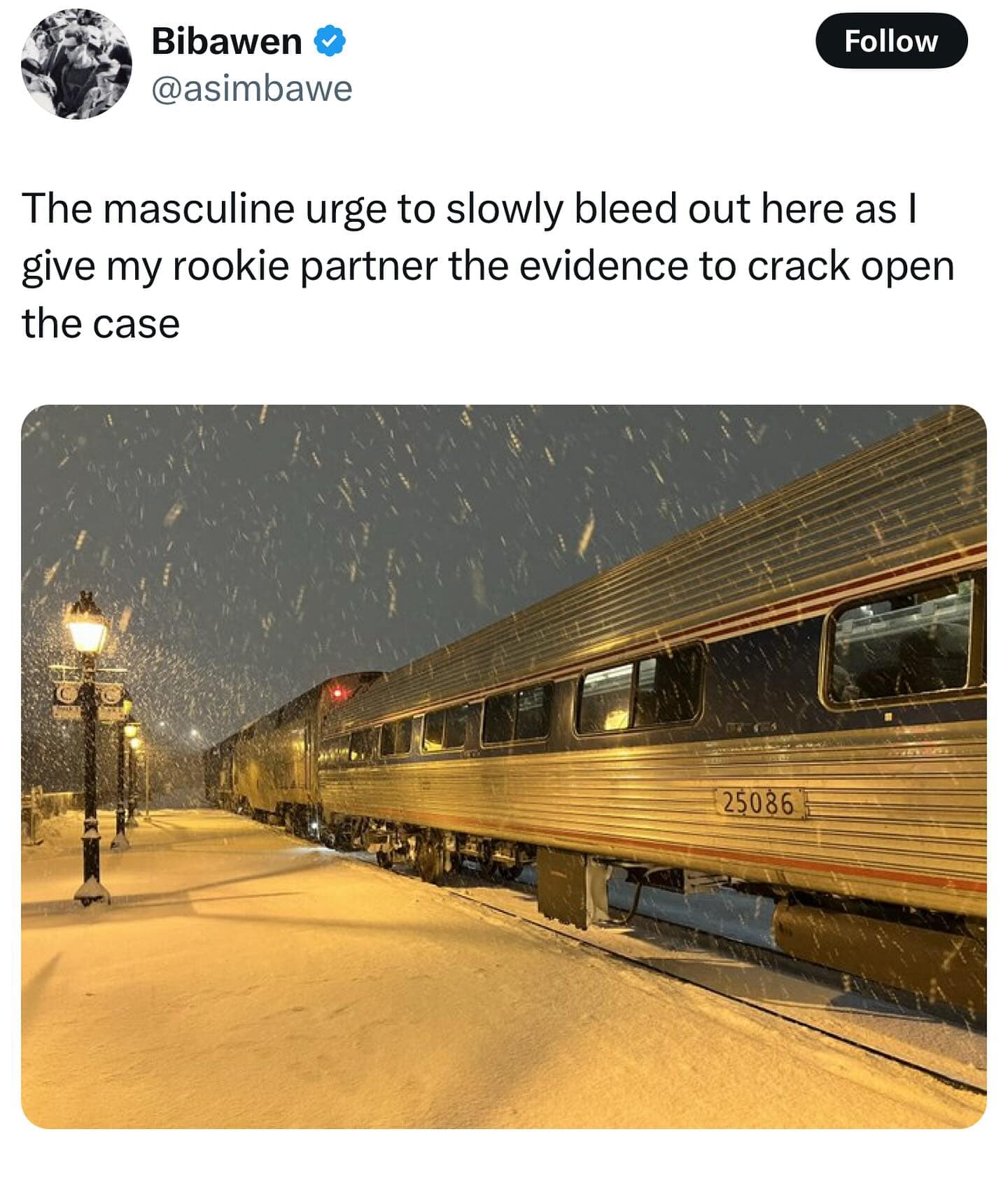 Bibawen @asimbawe Follow The masculine urge to slowly bleed out here as I give my rookie partner the evidence to crack open the case 25086