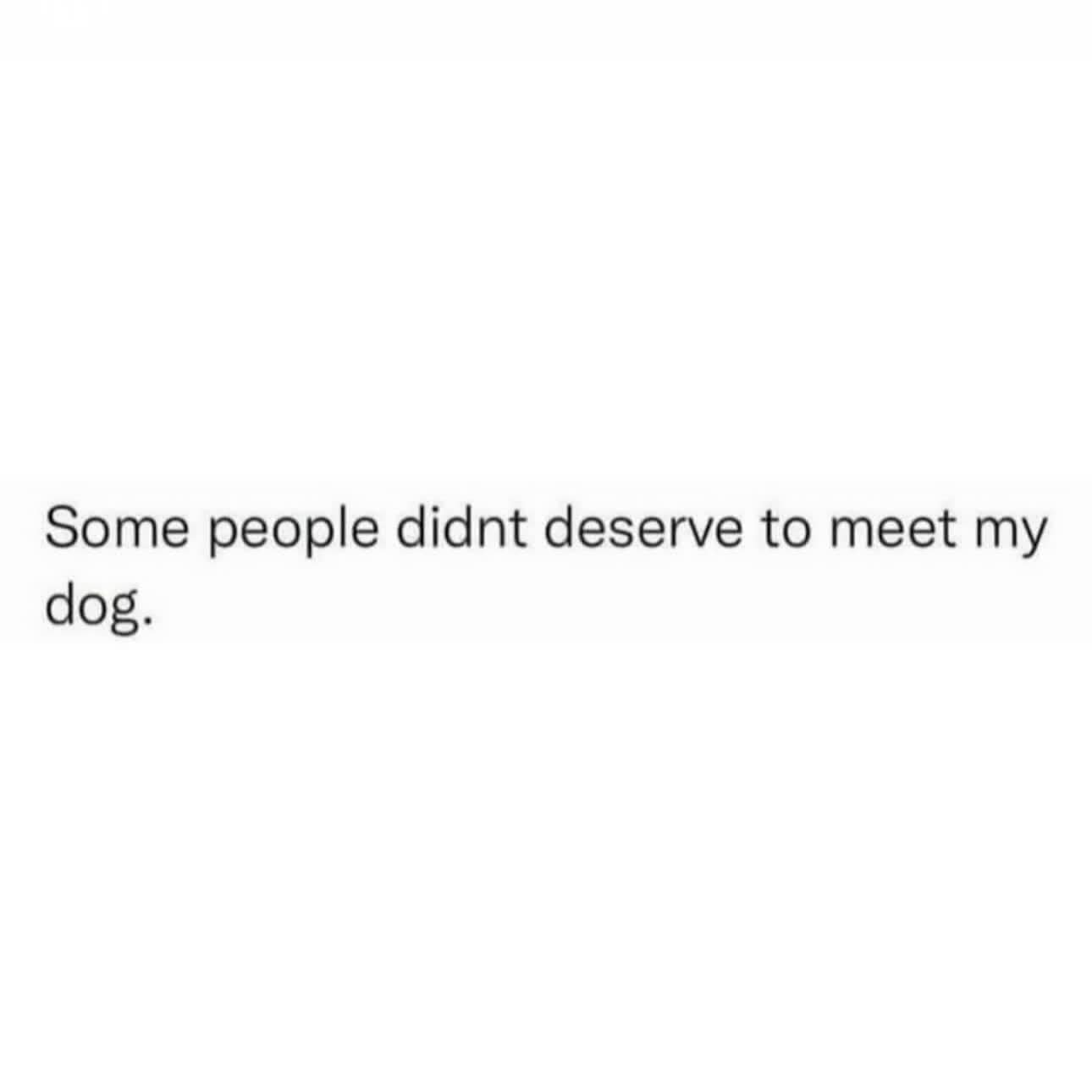 meme gallery, trending memes, meme roundup, dank memes, dank meme dump, memes funny, internet meme