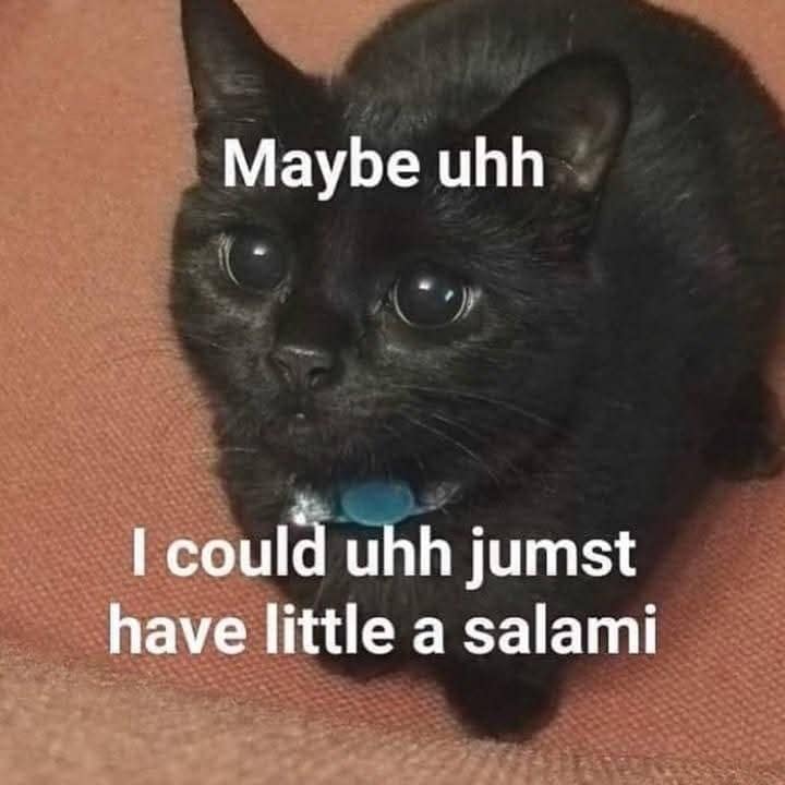 meme dump, funny memes, hilarious memes, trending memes, viral memes, office memes, lunch memes, break-time memes, humor memes, internet memes, dank memes, laugh memes, meme collection, daily memes, dank meme dump, internet meme, memes funny