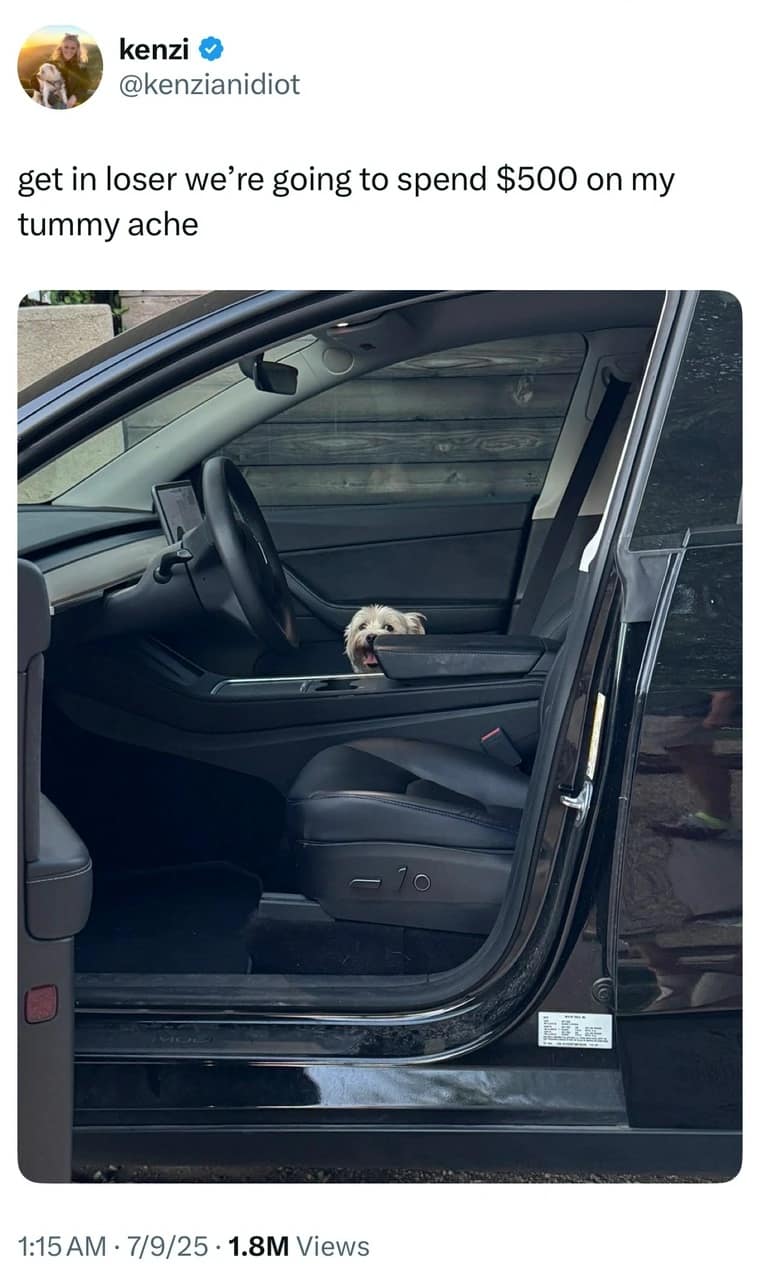 meme dump, funny memes, hilarious memes, trending memes, viral memes, dank memes, snackable humor, internet memes, lunch break memes, quick laughs, comic relief, meme collection, midday laughs, break-time memes, viral content, office memes, digital humor, nternet memes, dank meme dump