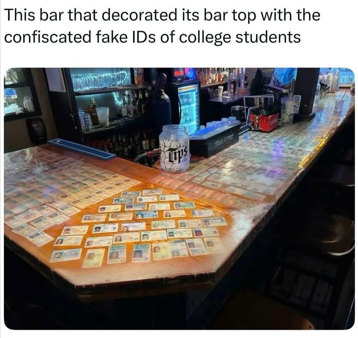 meme gallery, trending memes, meme roundup, dank memes, dank meme dump, memes funny, internet meme