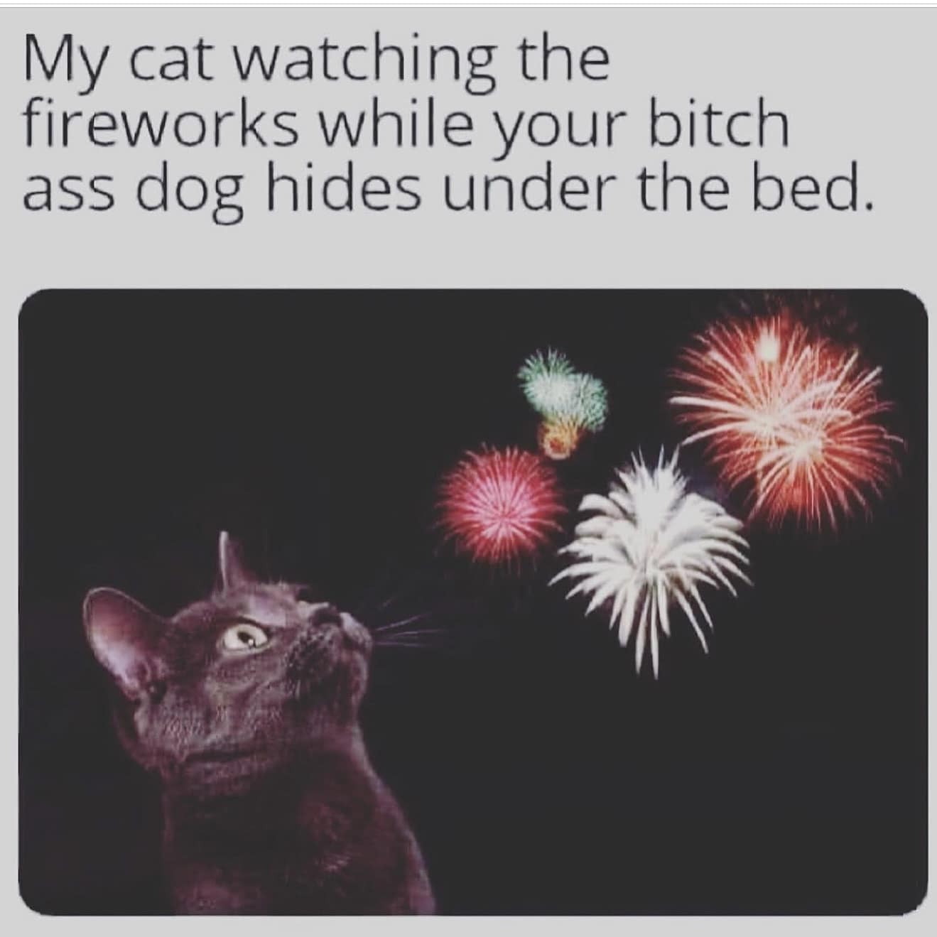 meme dump, funny memes, hilarious memes, meme collection, meme stash, best memes, viral memes, fresh memes, internet memes, laugh memes, humor memes, dank memes, trending memes, weekend memes, meme batch, pic dump, comedy memes, meme roundup, top memes, meme binge, internet meme, memes funny, dank memes, dank meme dump