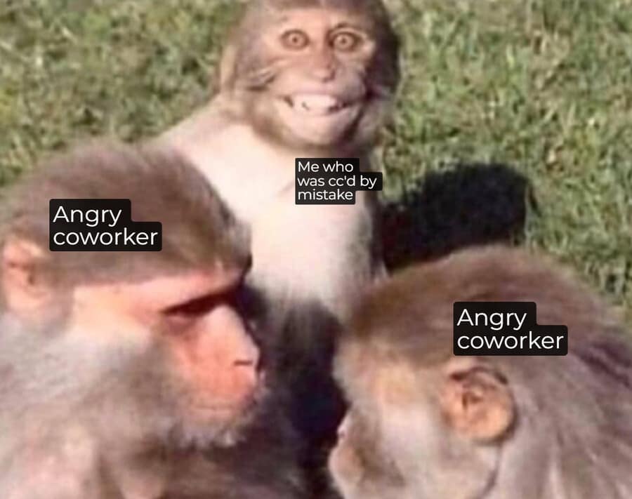 meme dump, funny memes, hilarious memes, trending memes, viral memes, dank memes, snackable humor, internet memes, lunch break memes, quick laughs, comic relief, meme collection, midday laughs, break-time memes, viral content, office memes, digital humor, nternet memes, dank meme dump