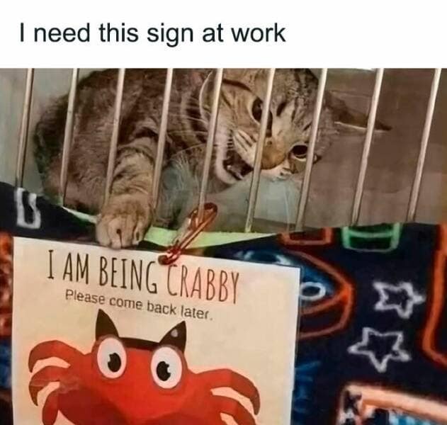 I need this sign at work I AM BEING CRABBY Please come back later. 肉公