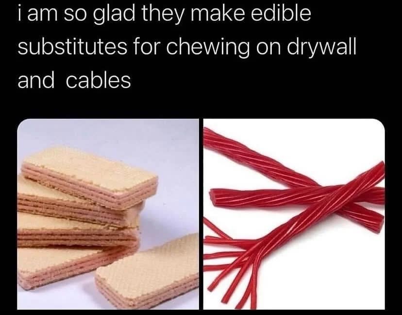 i am so glad they make edible substitutes for chewing on drywall and cables