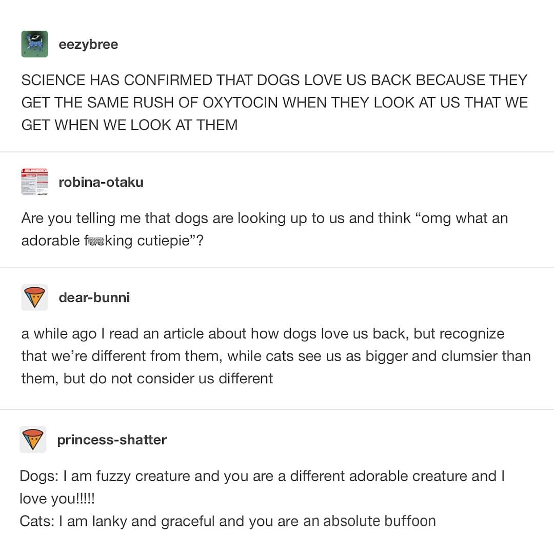 meme gallery, trending memes, meme roundup, dank memes, dank meme dump, memes funny, internet meme