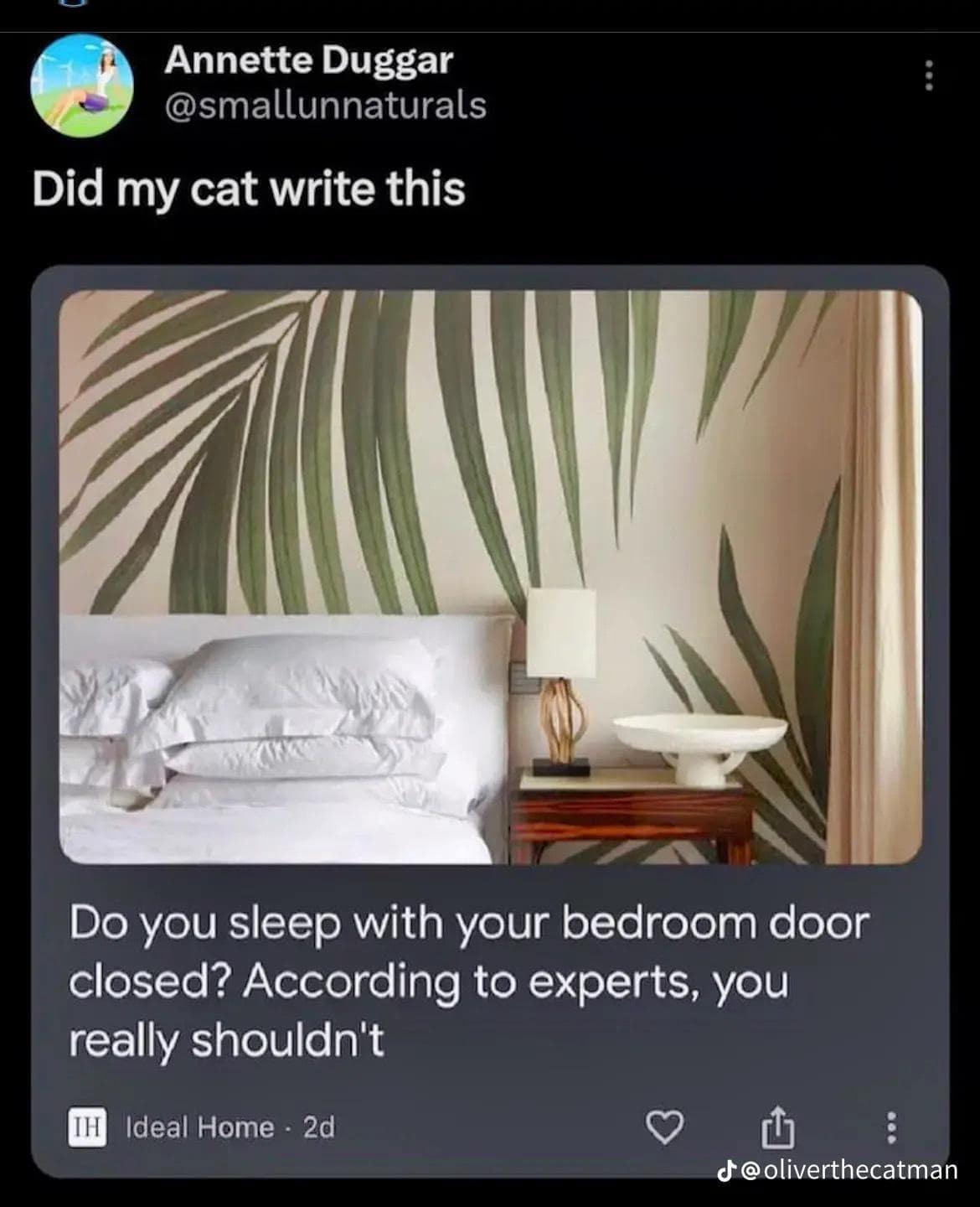 Annette Duggar @smallunnaturals Did my cat write this Do you sleep with your bedroom door closed? According to experts, you really shouldn't [H Ideal Home • 2d d' @oliverthecatman