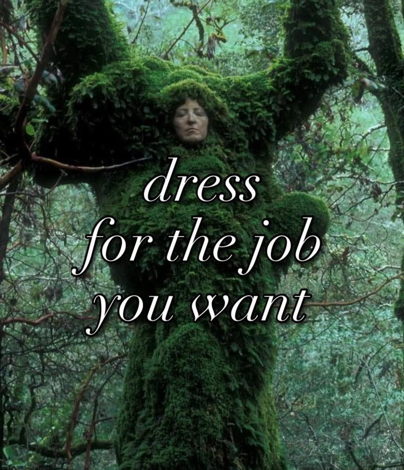 meme gallery, trending memes, meme roundup, dank memes, dank meme dump, memes funny, internet meme