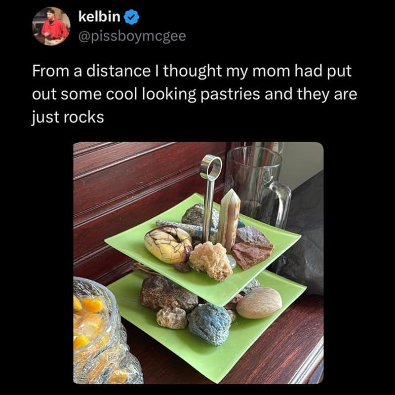 kelbin @pissboymcgee From a distance I thought my mom had put out some cool looking pastries and they are just rocks