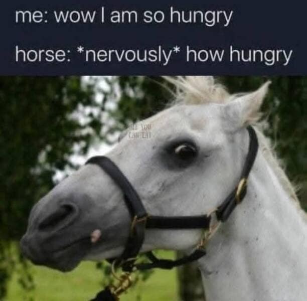 me: wow I am so hungry horse: *nervously* how hungry