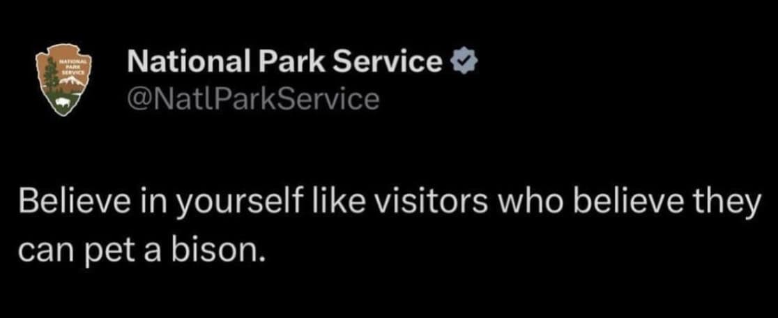 Believe in yourself like visitors who believe they can pet a bison.