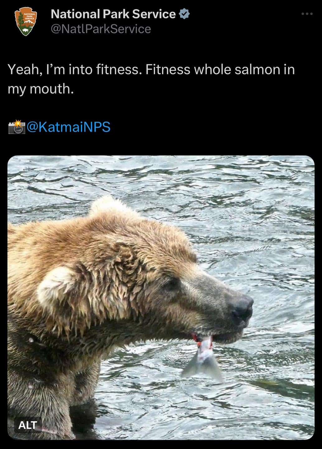 Yeah, I'm into fitness. Fitness whole salmon in my mouth.