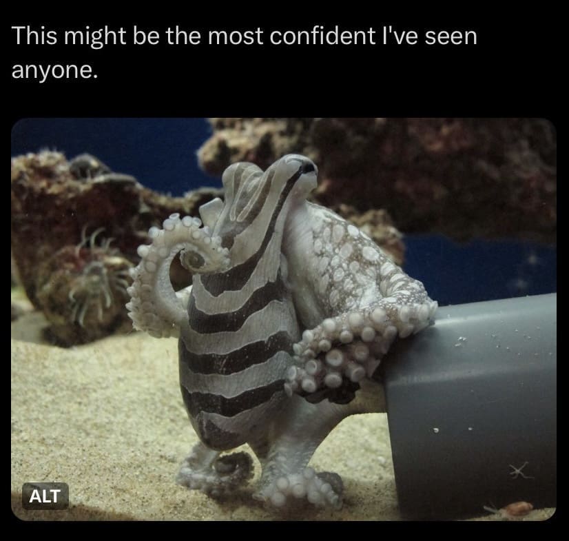 Striped octopus confidently emerging from pipe with bold posture