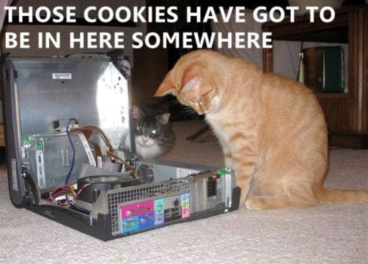 orange cat memes, cat memes, ginger cat memes, cat memes, funny cat memes, viral cat memes, group chat memes, Garfield memes, orange tabby, feline chaos, trending cat memes, ginger kitty, cat owner jokes, pet memes, animal memes, cat personality, zoomies memes, nap king, cat chaos, cute cat memes, cartoon cat memes