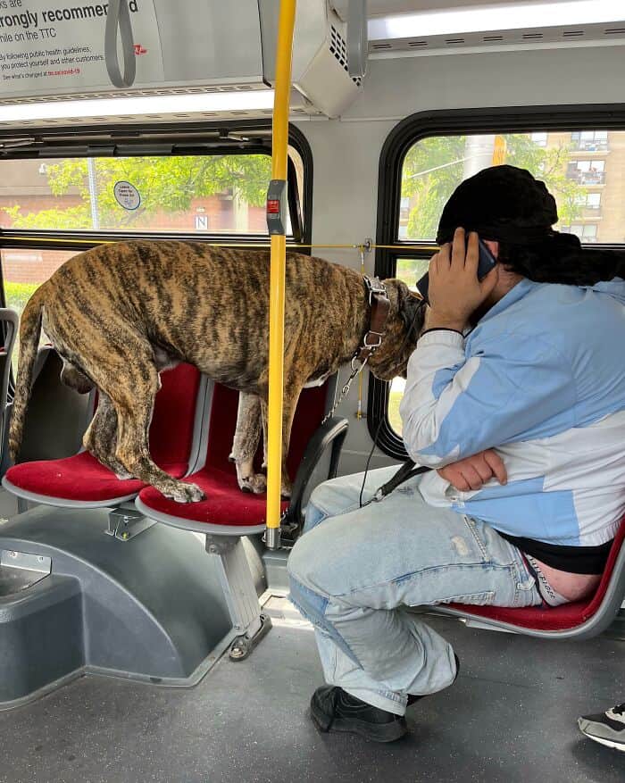 Man clipping nails on public bus.