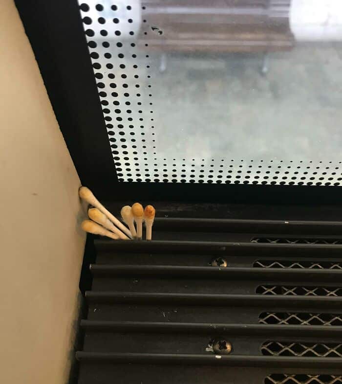 Used cotton swabs stuck in bus vent.