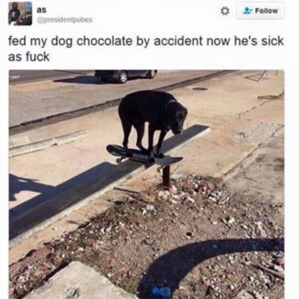 43 Skateboarding Memes For Riders Who Live on Ibuprofen