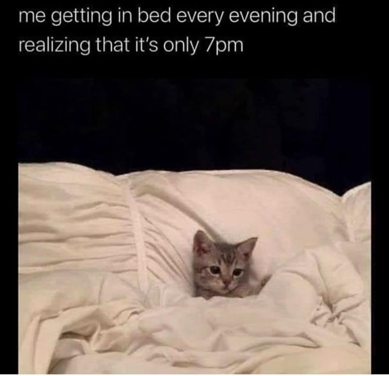 sleeping meme, sleep memes, sleepy memes, tired memes, nap memes, yawn memes, tired humor, drowsy memes, bedtime memes, couch nap memes, desk nap memes, animal sleeping memes, insomnia memes, dream memes, lazy day memes, weekend nap memes, bedtime routine memes, coffee vs sleep memes, afternoon slump memes, pillow memes