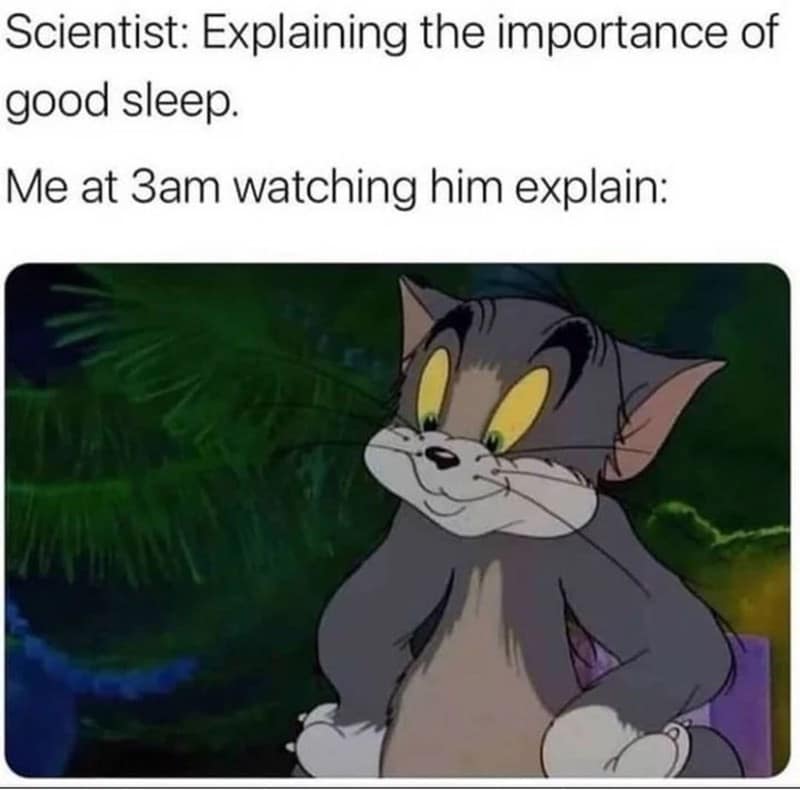 sleeping meme, sleep memes, sleepy memes, tired memes, nap memes, yawn memes, tired humor, drowsy memes, bedtime memes, couch nap memes, desk nap memes, animal sleeping memes, insomnia memes, dream memes, lazy day memes, weekend nap memes, bedtime routine memes, coffee vs sleep memes, afternoon slump memes, pillow memes